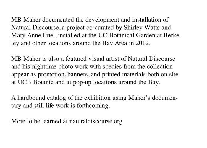 http://clients.mbmaher.com/files/gimgs/th-4_natural.jpg